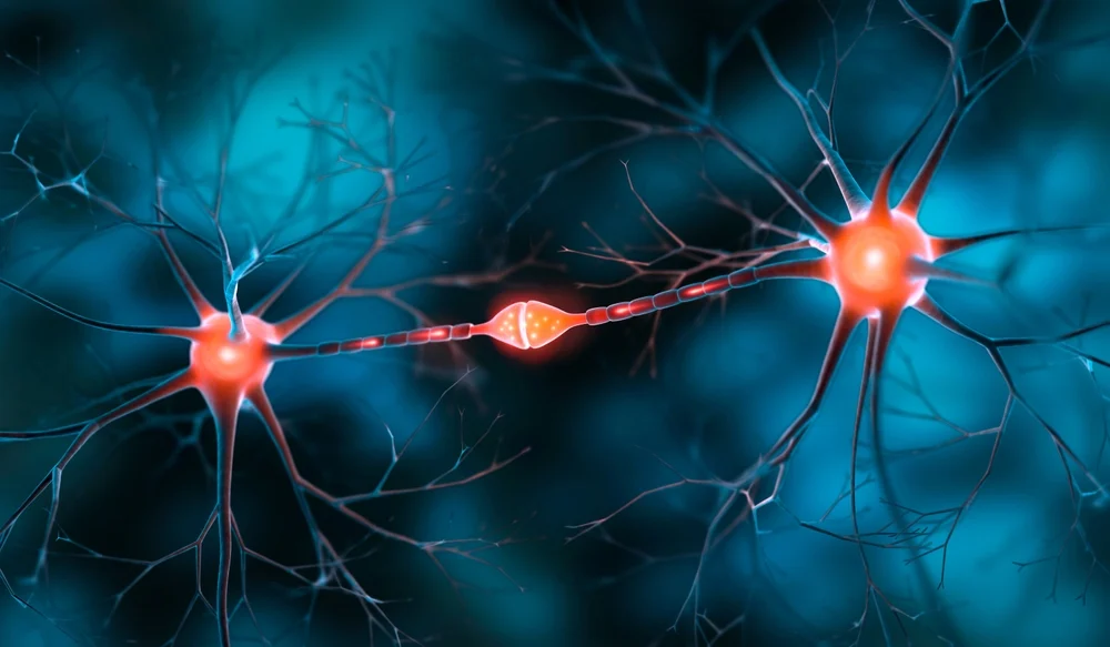 Illustration of nerve cells transmitting pain signals, the overactive signaling lidocaine infusion is thought to calm